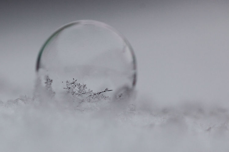 Close-up of bubble on snow