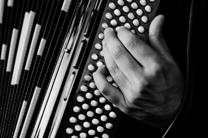 Close-up of hands playing accordion