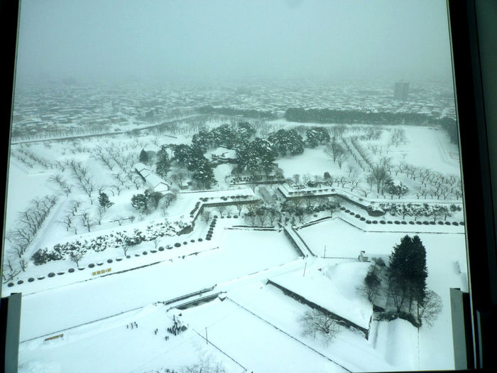 Aerial view of snow covered trees and buildings seen through window