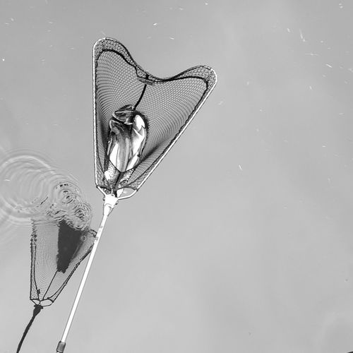 Close-up of object over white background