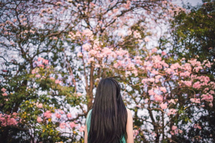 Rear view of woman with long hair standing in park during spring