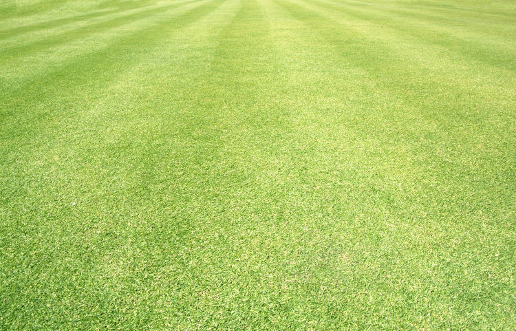 50 Lawn Pictures Hd Download Authentic Images On Eyeem