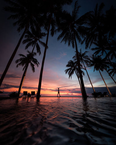 Silhouette woman walking amidst palm trees by swimming pool against sky during sunset