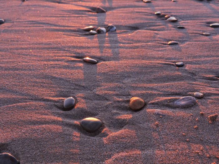 Close-up of stones on wet sand