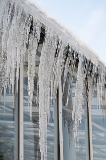 Icicles hang from roof and wall in winter. frozen water from melting ice and snow during spring thaw