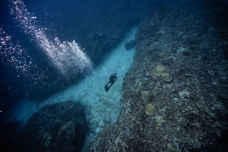High angle view of scuba diver swimming undersea