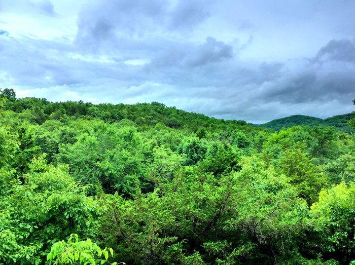 View of lush green landscape against sky