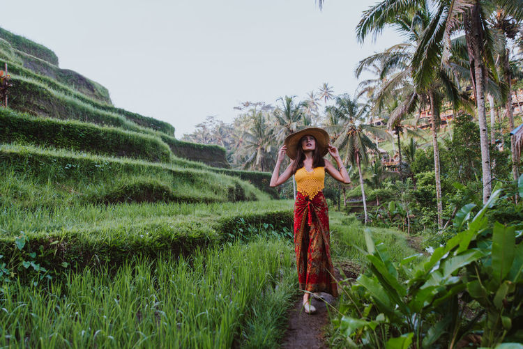 Young woman at rice terrace