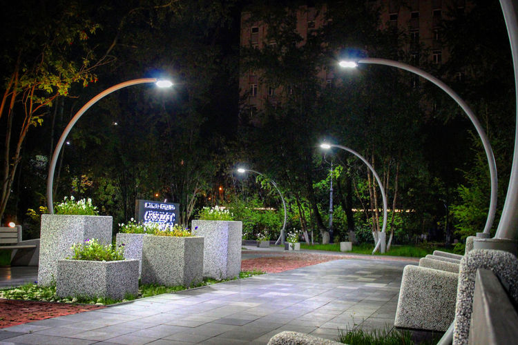 Street light in park at night