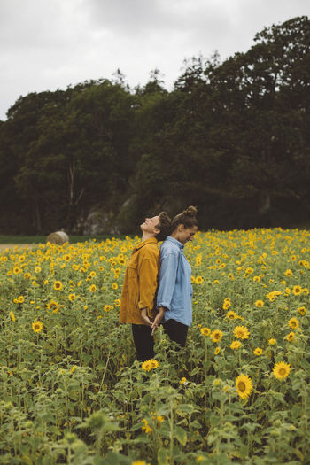 Couple on flowering sunflower field