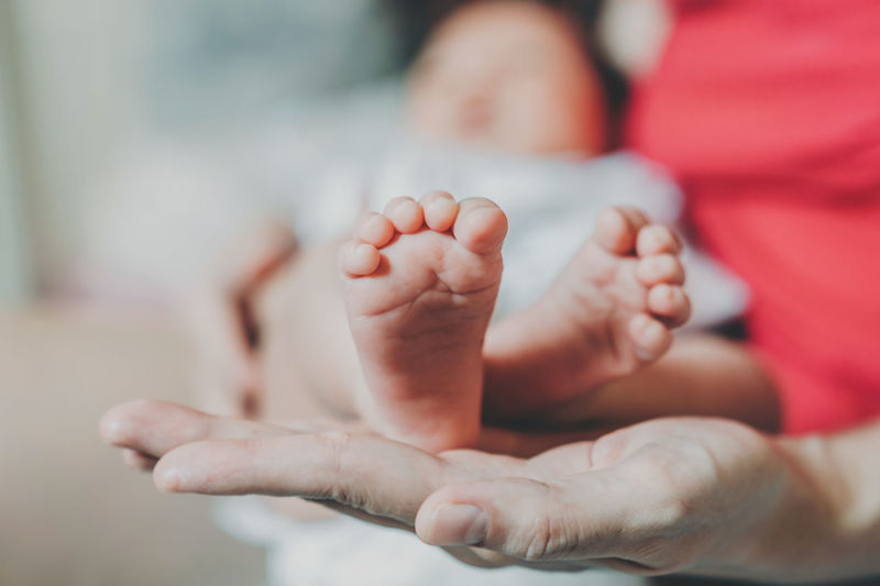 Low section of baby feet