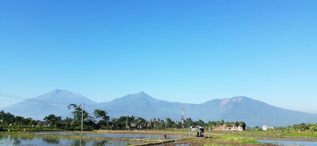 Scenic view of agricultural field against mountains and clear blue sky