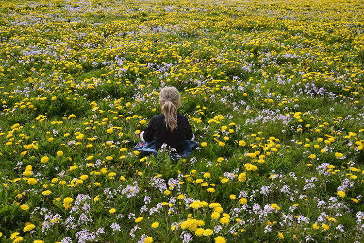 Rear view of girl amidst yellow flowers on field
