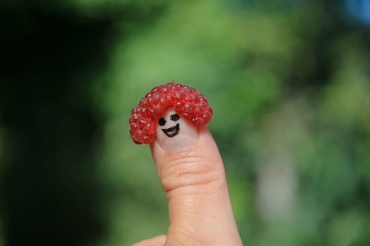 Close-up of finger holding red fruit