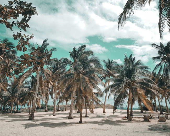 Beach feels.