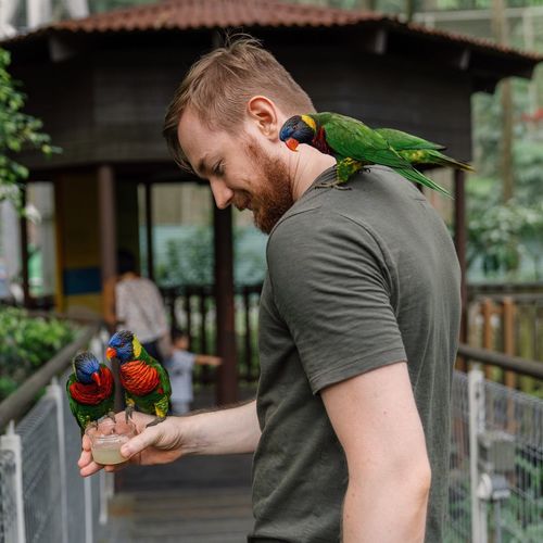 Man feeding parrots while standing outdoors