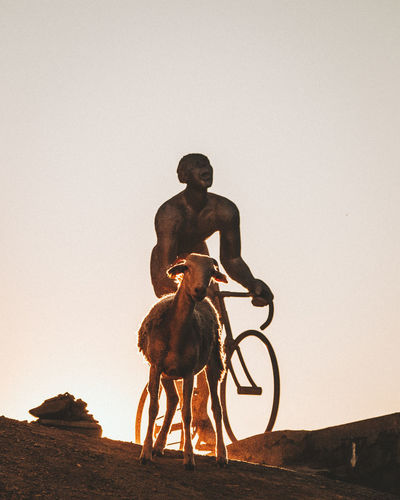 Low angle view of goat against statue