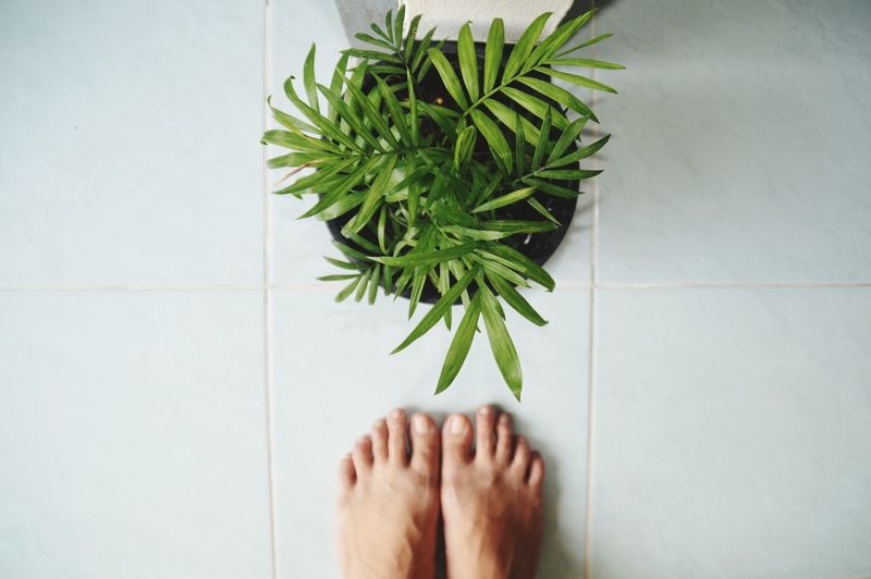 LOW SECTION OF PERSON AGAINST POTTED PLANT