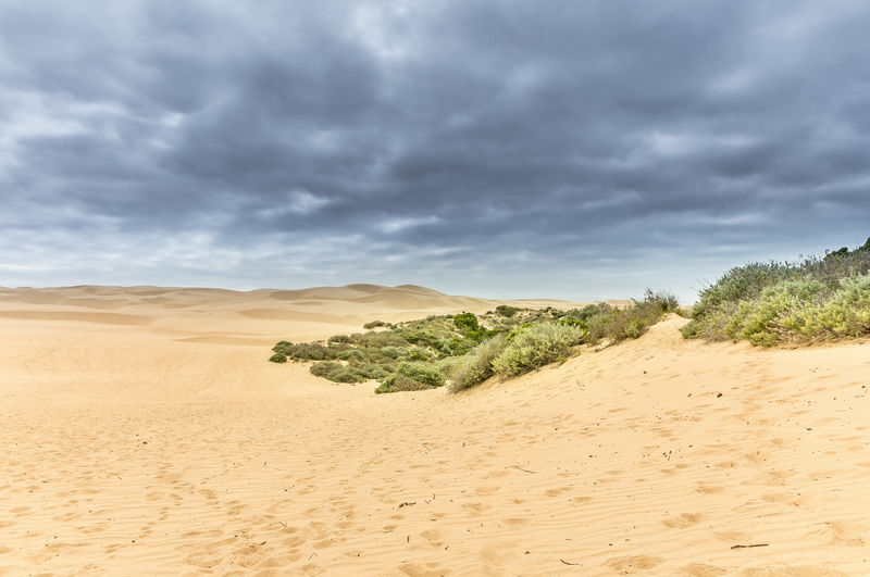 Scenic view of desert against sky