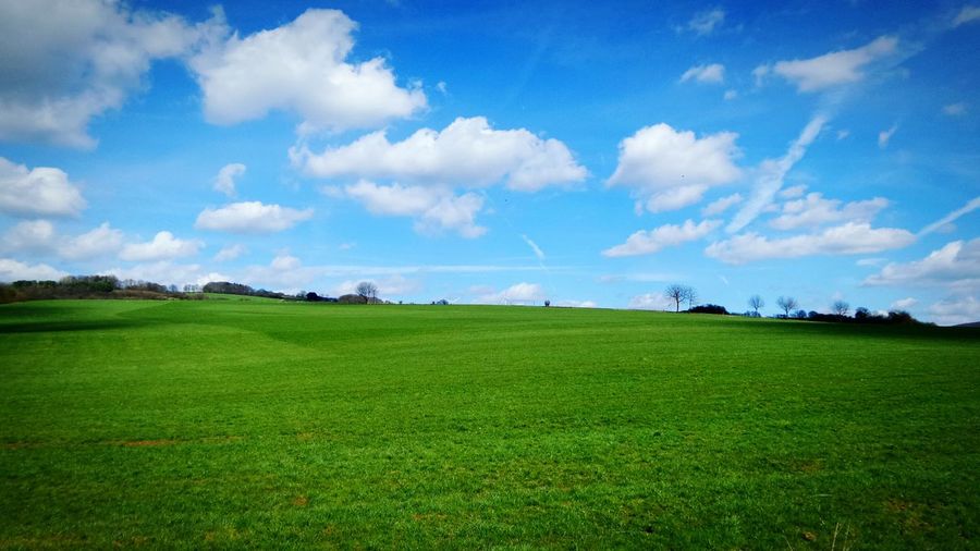 Scenic view of grassy field against cloudy sky