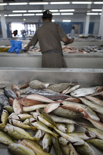 View of fish for sale at market
