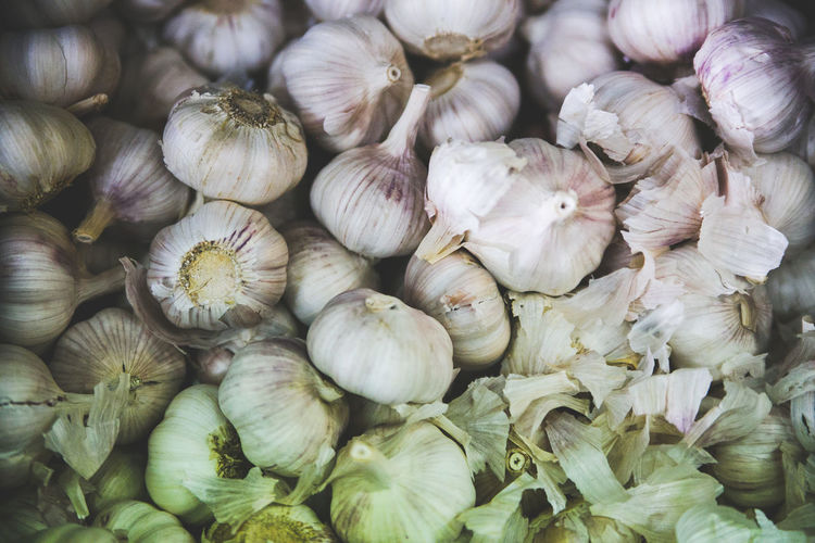 Detail shot of garlic bulbs