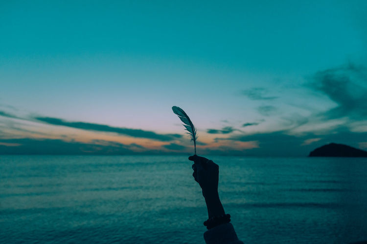 Cropped image of hand holding feather against sea during sunset