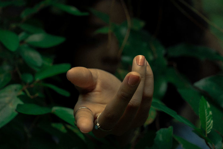 Close-up of human hand emitting through leaves
