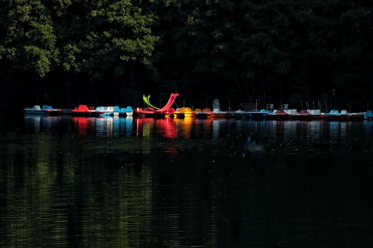 Boats in lake against trees