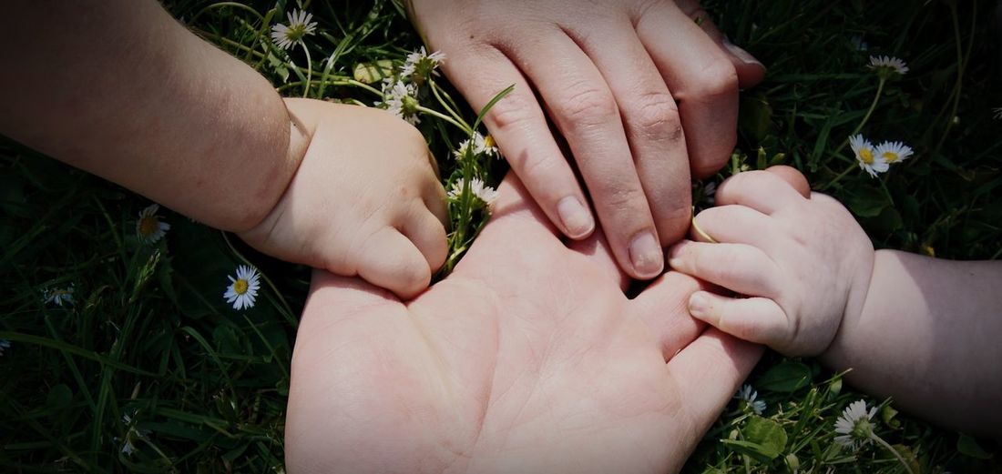 Close-up of family holding hands on plants