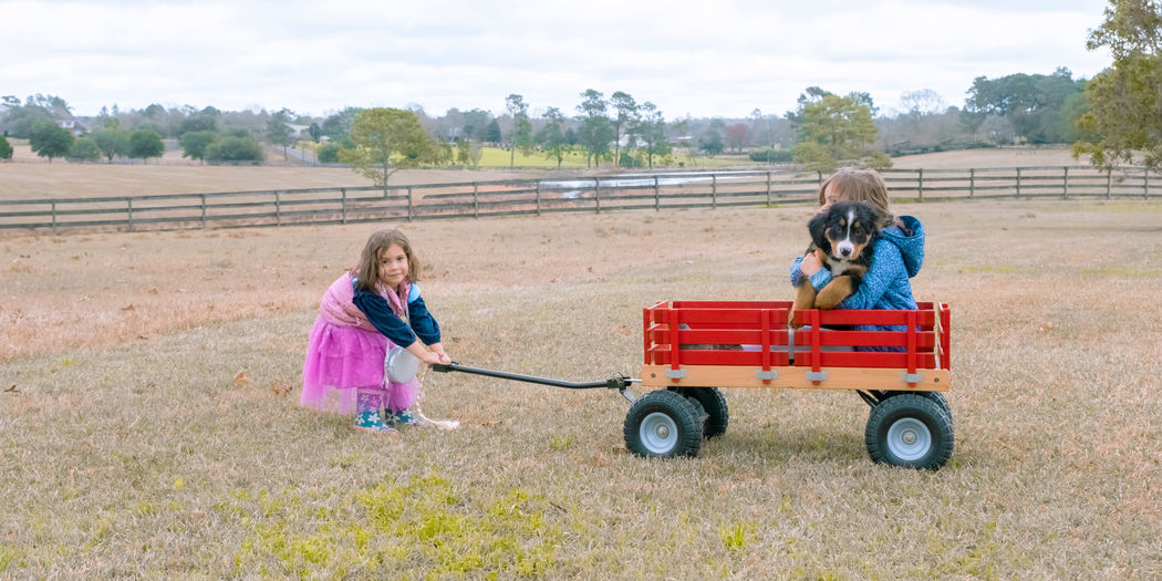 Cute girl pulling her sister and puppy dog in a red wagon. little sisters having fun on backyard