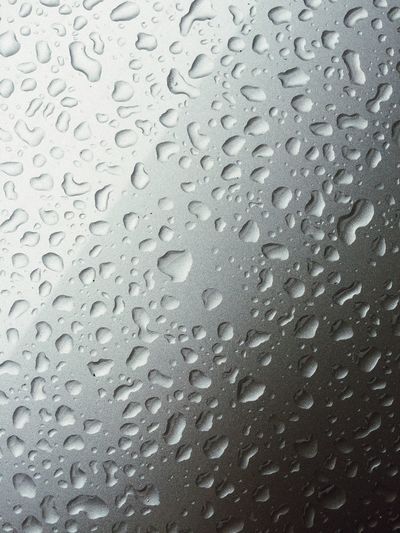 Close-up of water drops on leaf