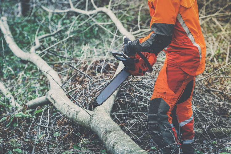 Man holding a chainsaw and cut trees. lumberjack at work. gardener working outdoor in the forest.
