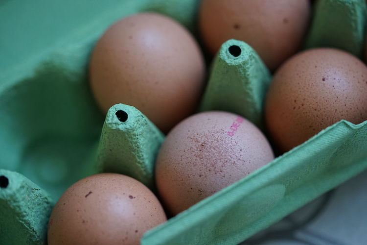 Close-up of  five red eggs in green egg carton