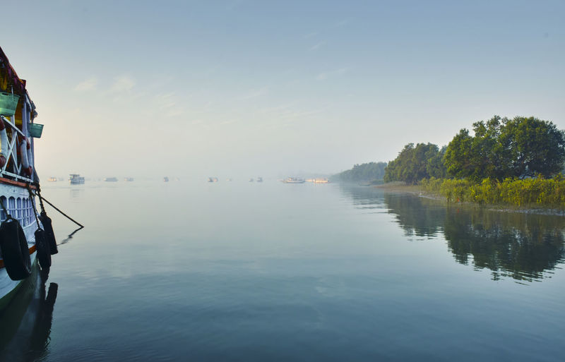 Early morning view from vessel, at sundarbans biosphere reserve. serene waterscape.