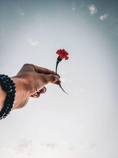 Close-up of hand holding red flower against sky