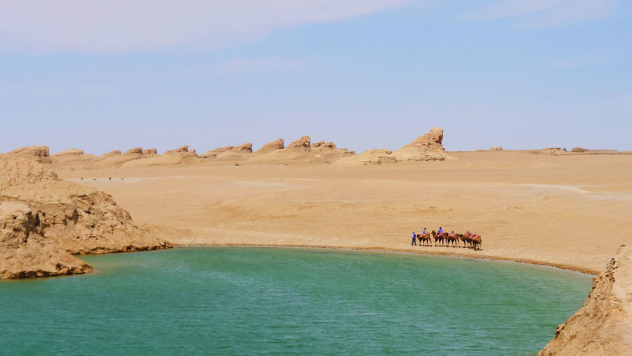 High angle view of people with camels in dessert