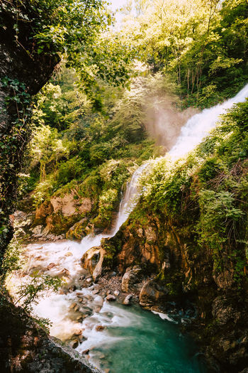 Waterfall immersed in the vegetation of the orrido of bellano, long exposure