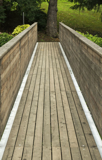 Surface level of boardwalk in park