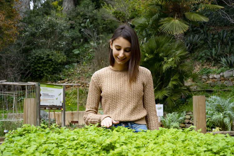 Young gardener touching her plants.