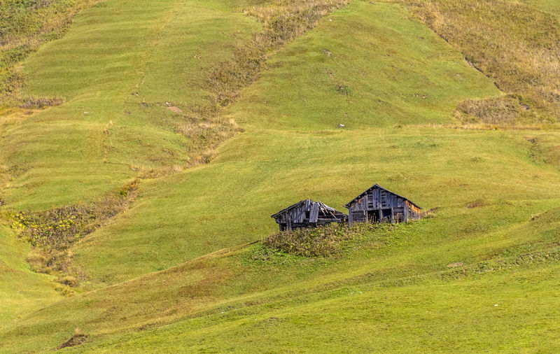 House on field