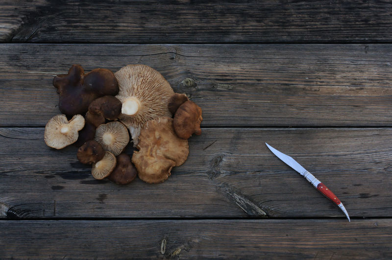 High angle view of mushrooms on wooden table