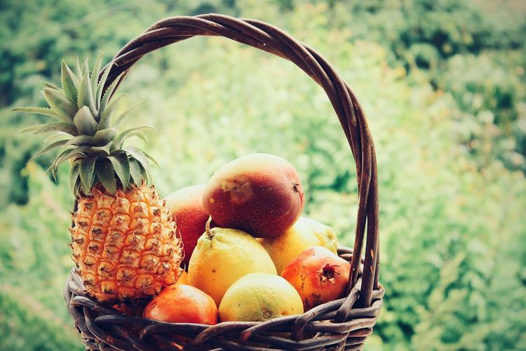 Close-up of fruits in wicker basket against trees