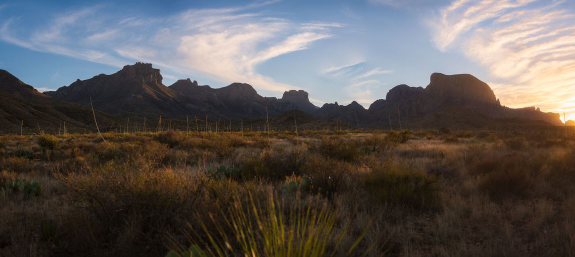 Scenic view of field against sky in big bend national park - texas
