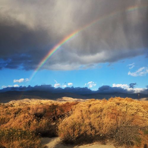 Scenic view of rainbow over landscape against sky