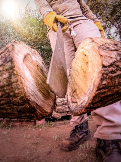 Low section of man working on log in forest