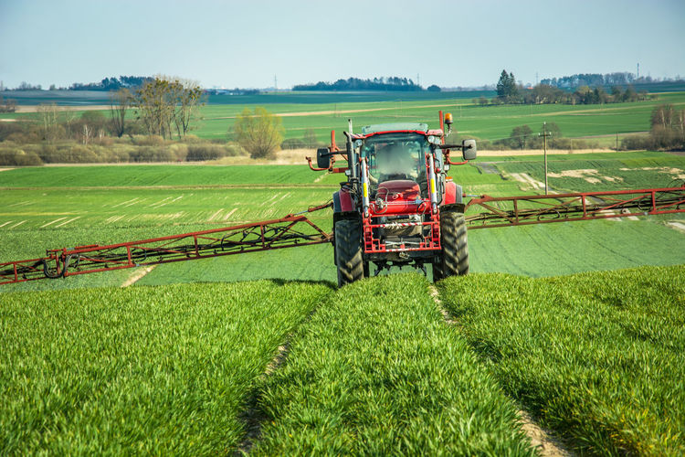 Tractor spraying the rural field with green cereal, eastern poland