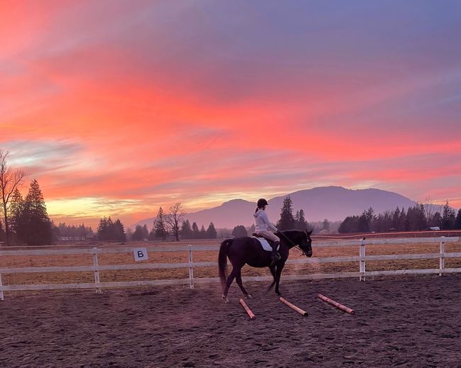 Girl riding horse in arena over trot poles against sky during sunset