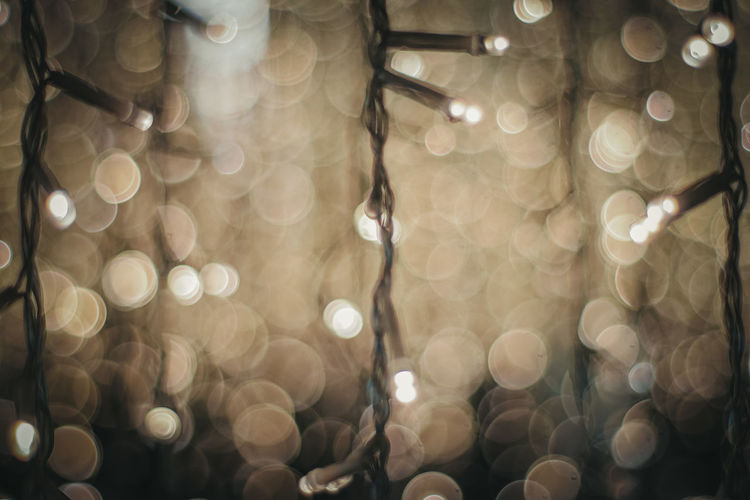 Close-up of illuminated string lights