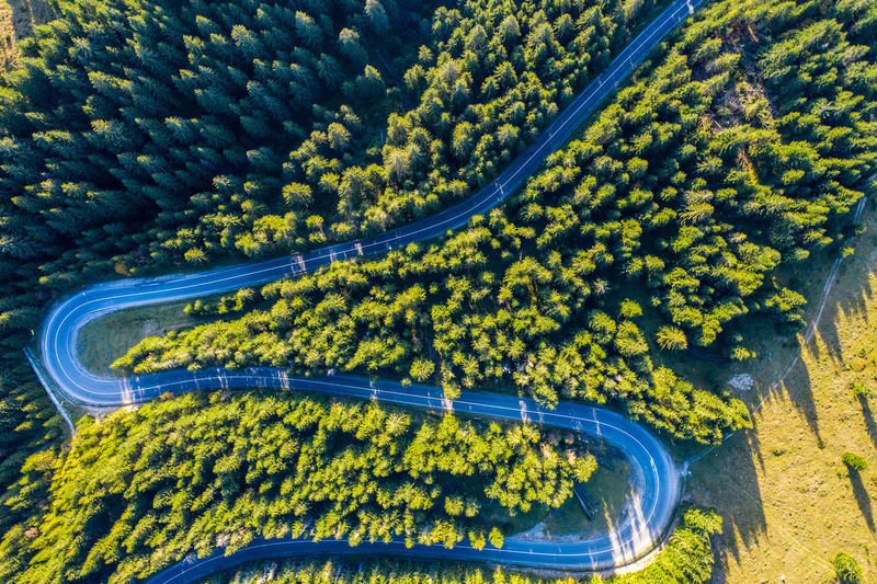 Aerial view of road amidst trees on land